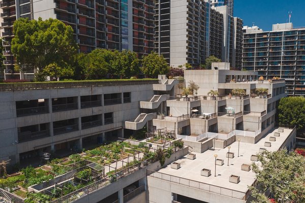 Comment créer un jardin de plantes médicinales sur une terrasse en ville?